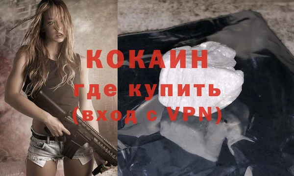 дживик Ладушкин