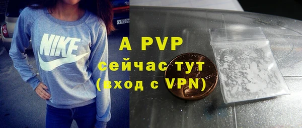дживик Ладушкин